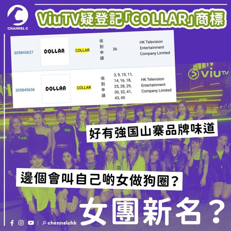 ViuTV登記「COLLAR」商標疑為女團新名 網民：邊個會叫自己啲女做狗圈