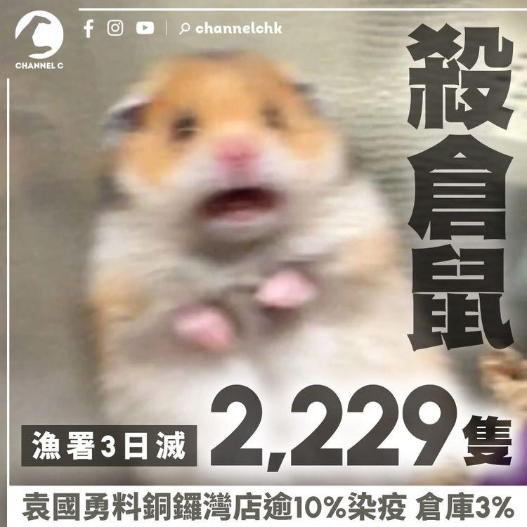 漁署3日殺2,229倉鼠 多預期逾倍 單日滅1,299隻 袁國勇料銅鑼灣店逾10%染疫 大埔倉庫3%