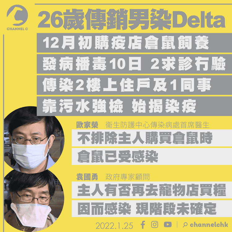 26歲傳銷男染Delta 專家不排除病源來自新買倉鼠或寵物店