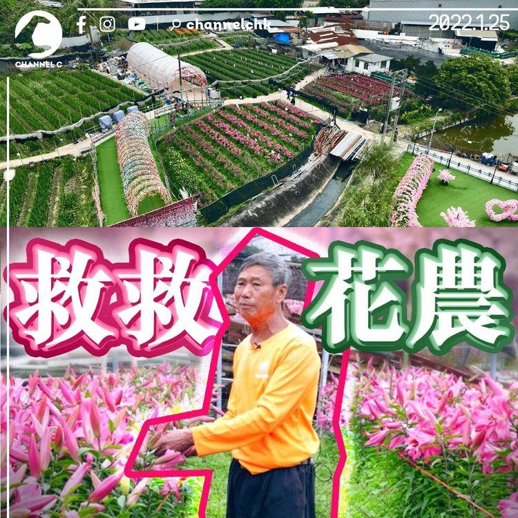 取消年宵花農信哥血本無歸！ 信芯園轉型打卡聖地自救